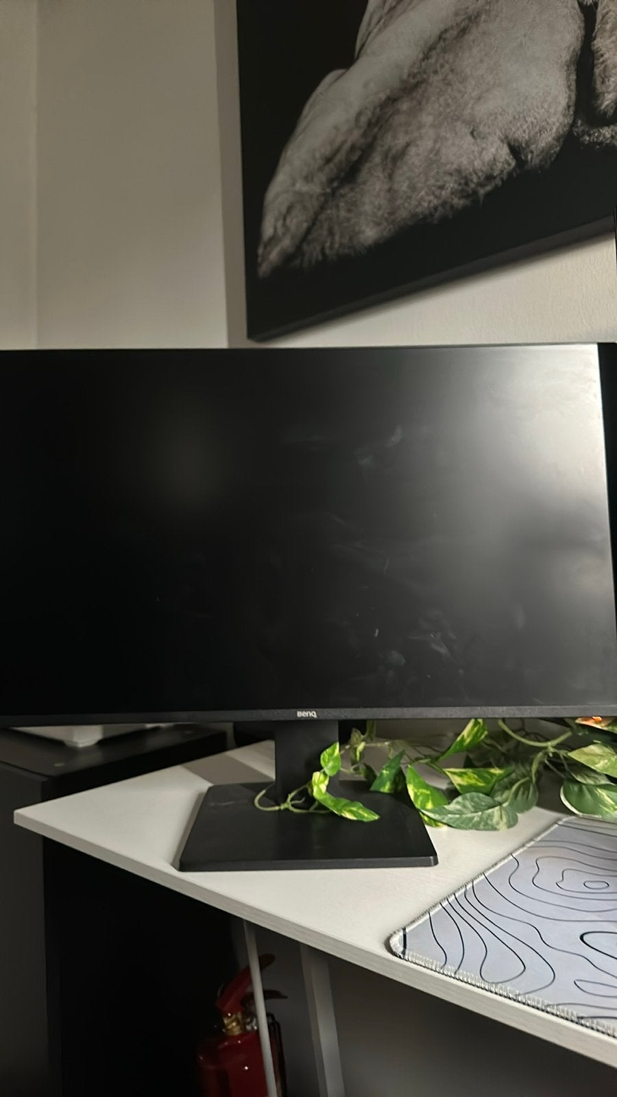 Monitor benQ, Ophalen, Zo goed als nieuw