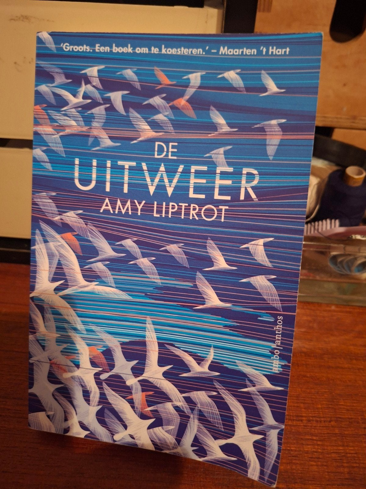 Amy Liptrot - De uitweer, Verzenden, Zo goed als nieuw, Amy Liptrot