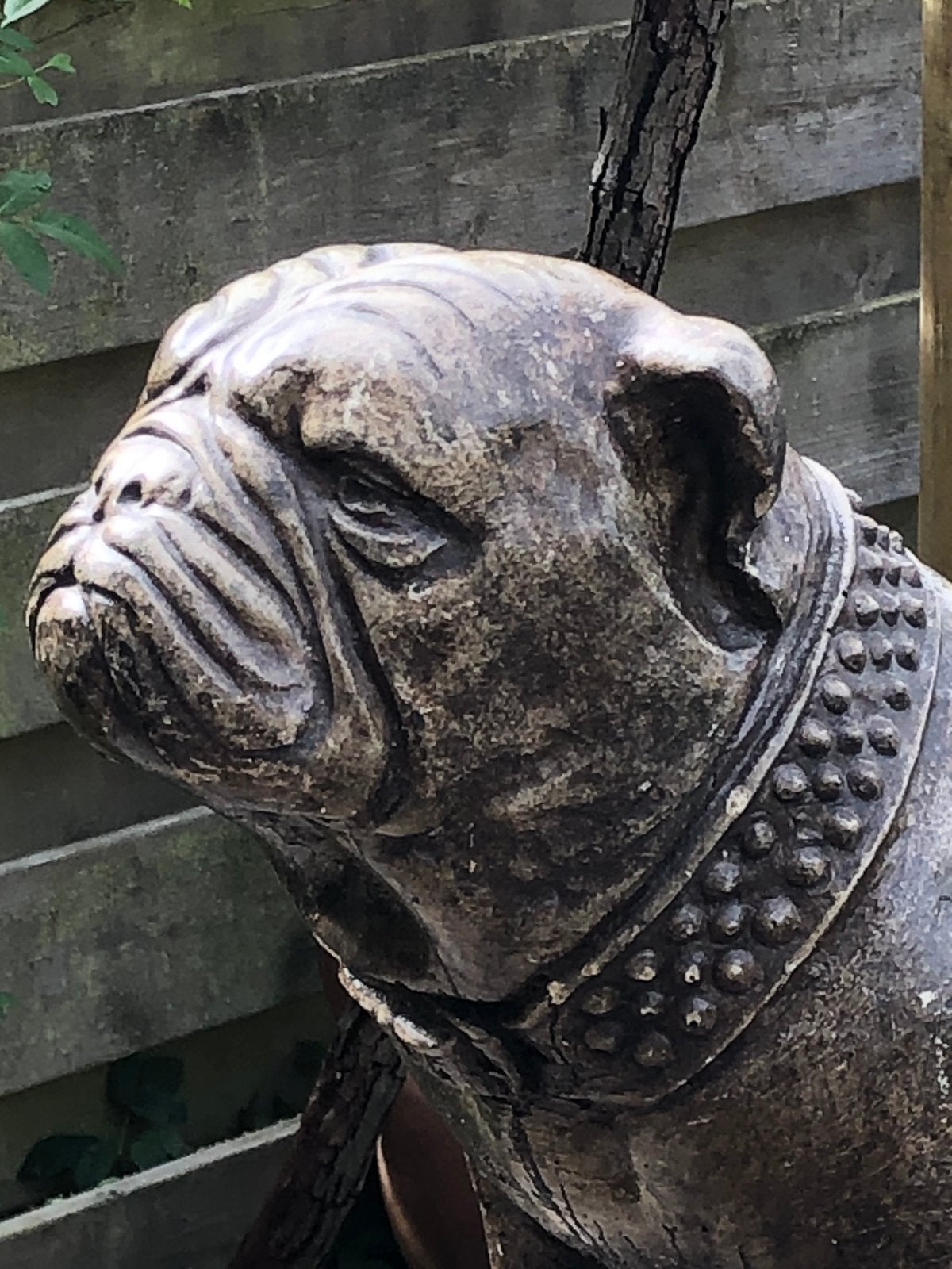 Beeld Prachtige Engelse Bull dog Tuinbeeld Winterhard, Ophalen, Gepatineerd, Zoogdier, Steen of Keramiek