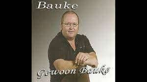 Nederlandse CD : BAUKE - Gewoon Bauke., Cd's en Dvd's, Cd's | Verzamelalbums, Ophalen of Verzenden, Gebruikt, Nederlandstalig