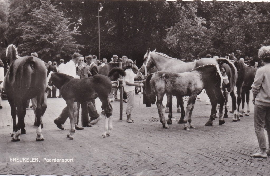 BREUKELEN - Paardensport (2) - 1964 - Paard Paarden Markt, Ophalen of Verzenden, 1960 tot 1980, Ongelopen, Utrecht