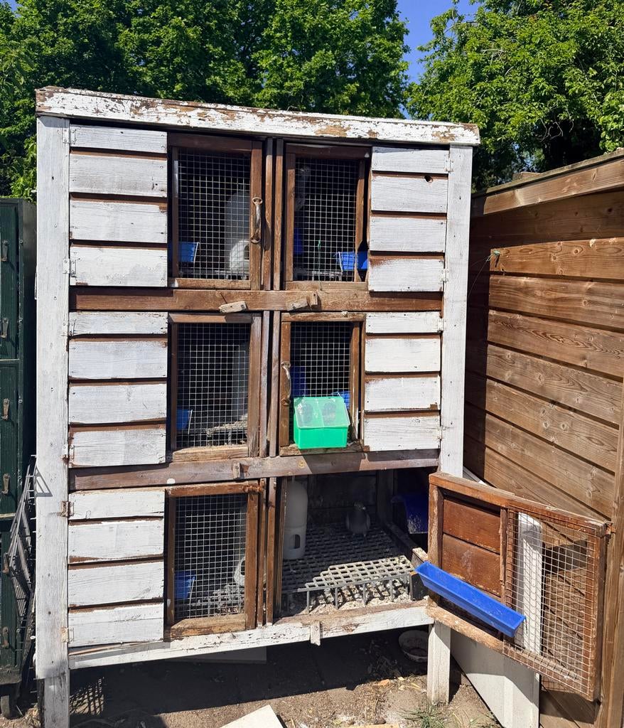 Gratis hok voor duiven of konijnen., Ophalen of Verzenden, Hout, Vogelkooi