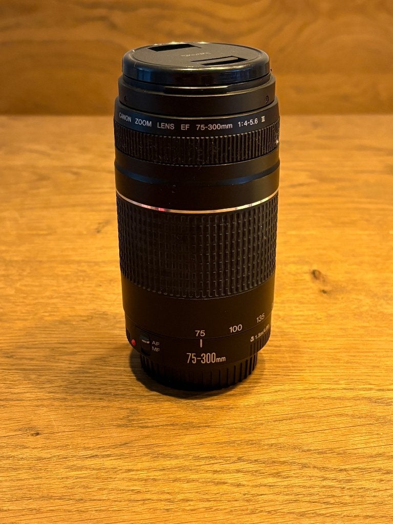 Canon EF 75-300mm lens, Ophalen of Verzenden, Zo goed als nieuw, Telelens