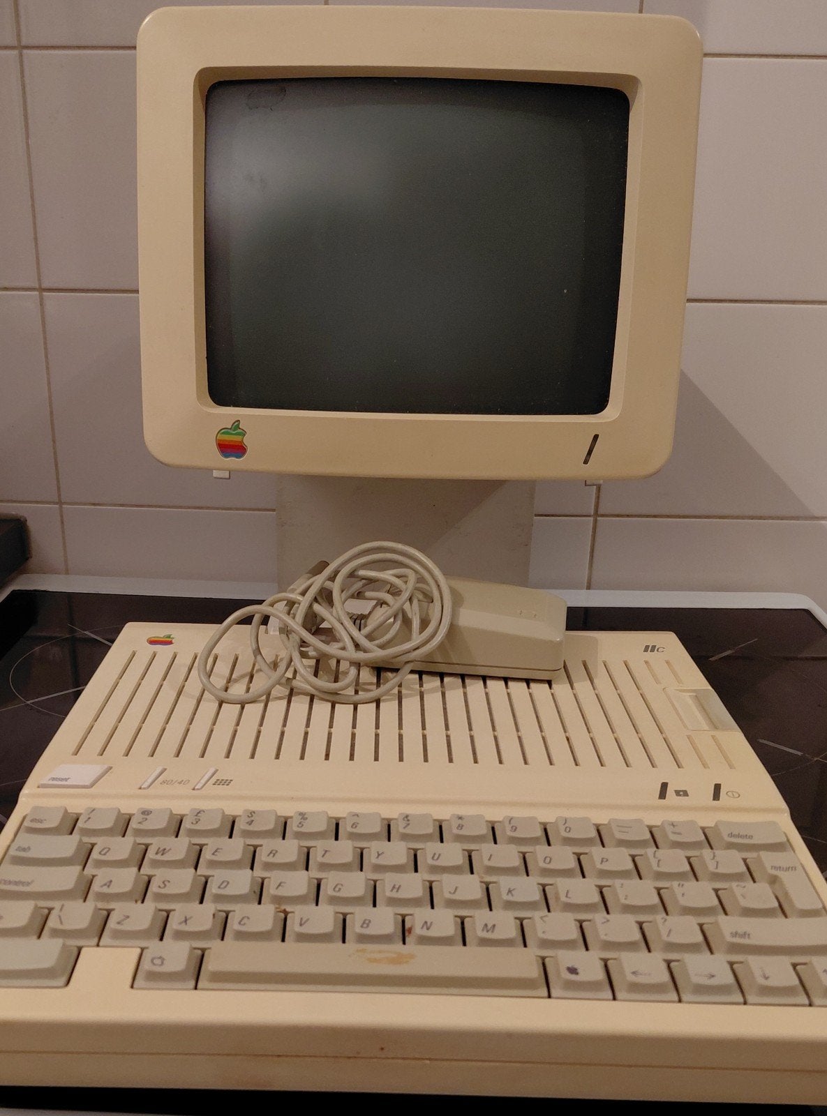 Apple IIc, Computers en Software, Ophalen