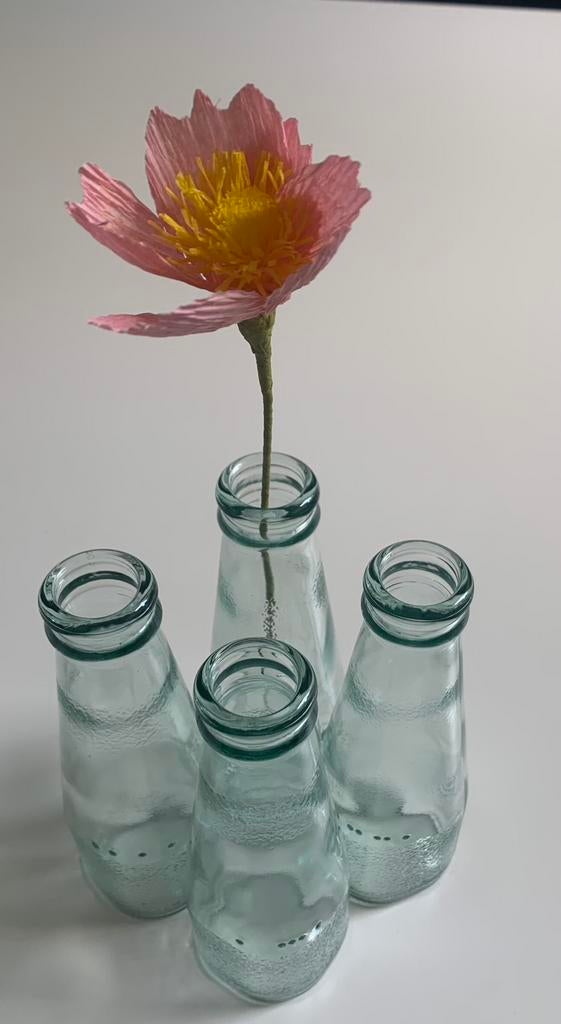 Leuke kleine bloemvaasjes/ flesjes, Huis en Inrichting, Woonaccessoires | Vazen, Zo goed als nieuw, Overige kleuren, Minder dan 50 cm
