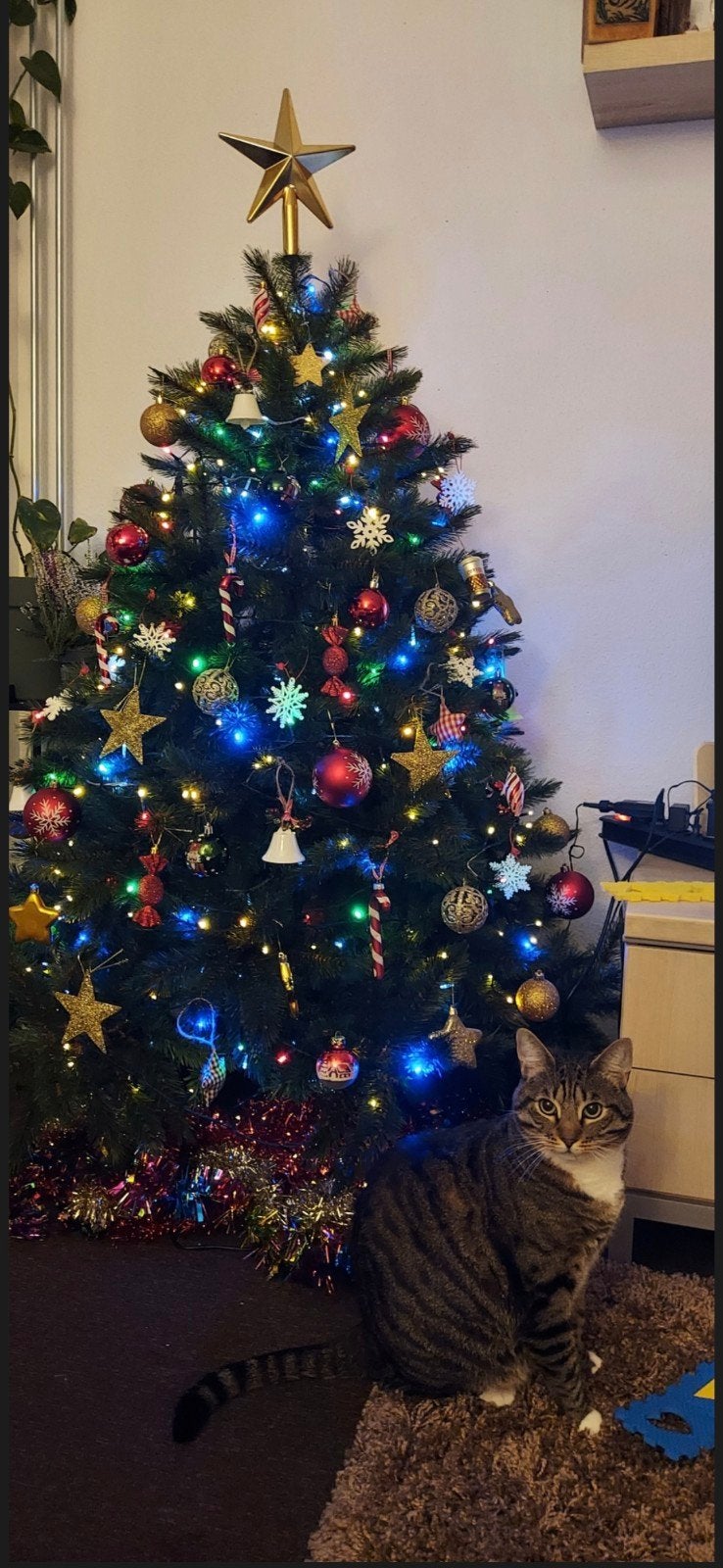 kerstboom  zonder versiering, Ophalen, Zo goed als nieuw