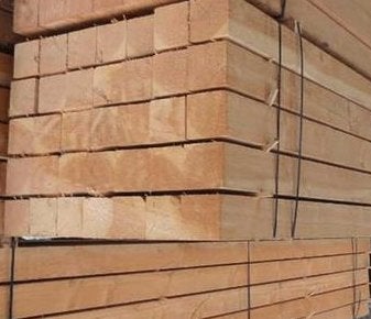 Douglas palen 100 x 100 mm 3.00 mtr. 55 stuks €. 10,15 p/mtr, Ophalen, Nieuw, 250 cm of meer, Planken