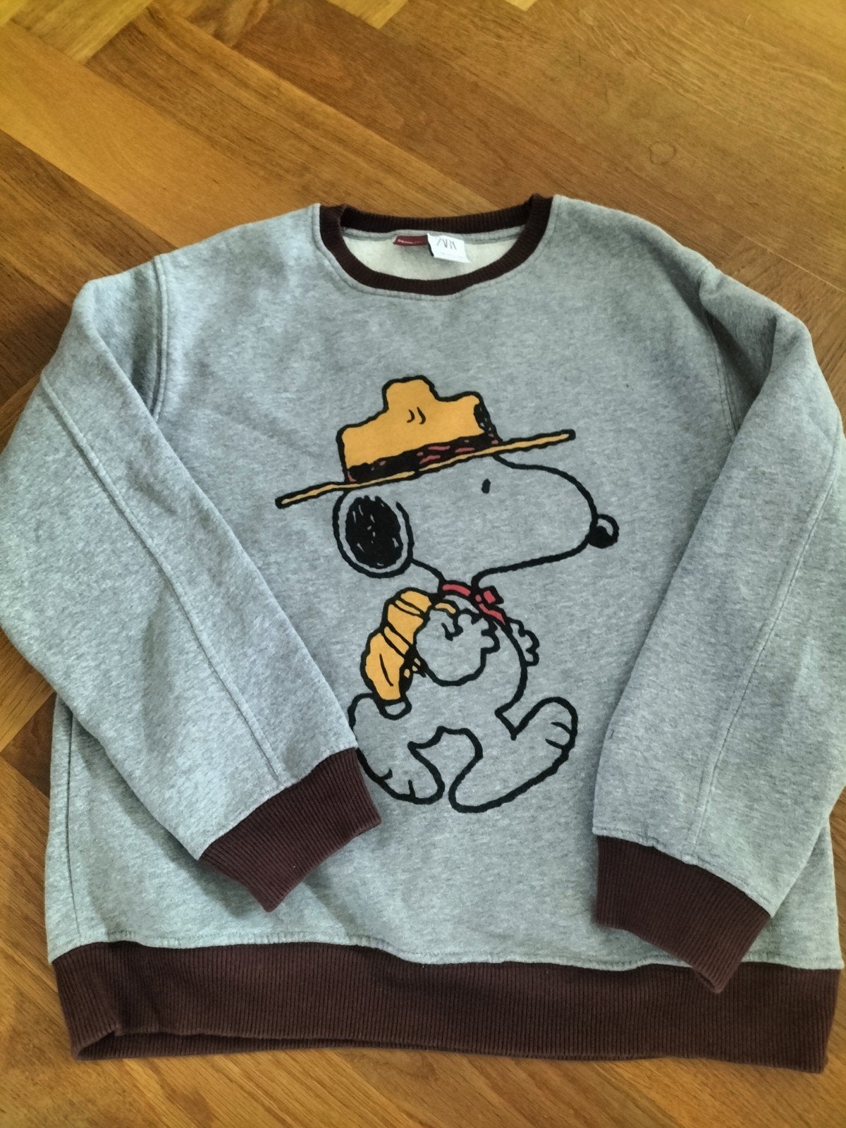Zara Peanuts Snoopy Sweater Maat 164 (13-14 jaar), Kinderen en Baby's, Jongen of Meisje, Trui of Vest, Ophalen of Verzenden, Zo goed als nieuw
