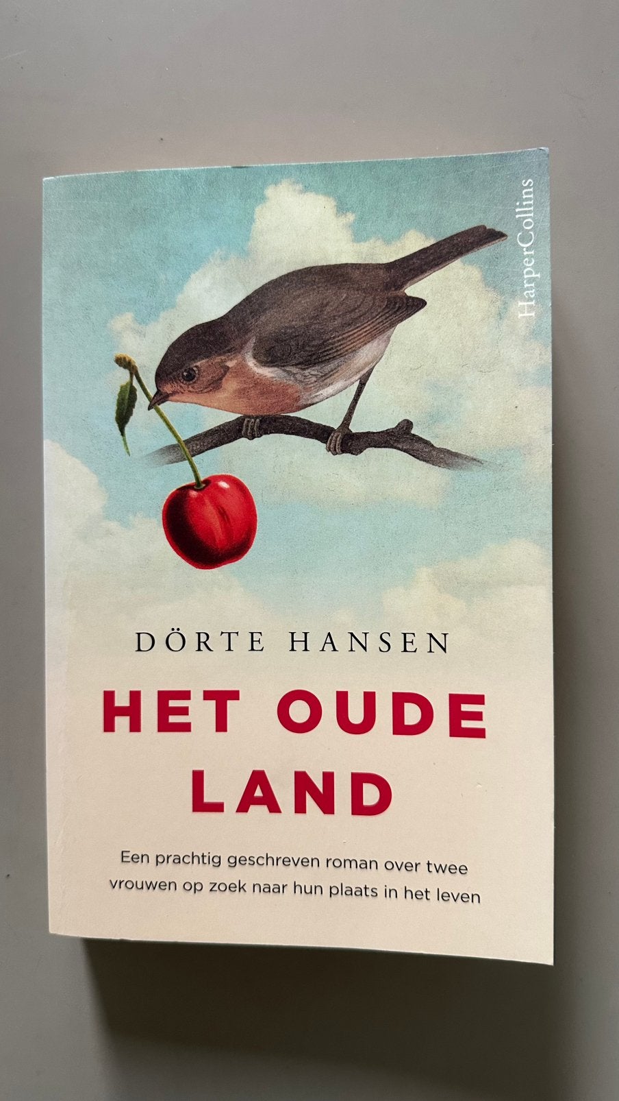 Dörte Hansen - Het oude land, Ophalen of Verzenden, Zo goed als nieuw, Dörte Hansen