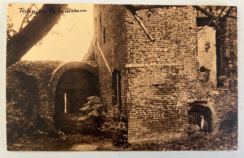 Oude Ansichtkaart - Sassenheim - Kasteel Teilingen, Verzamelen, Ophalen of Verzenden, Voor 1920, Ongelopen, Zuid-Holland