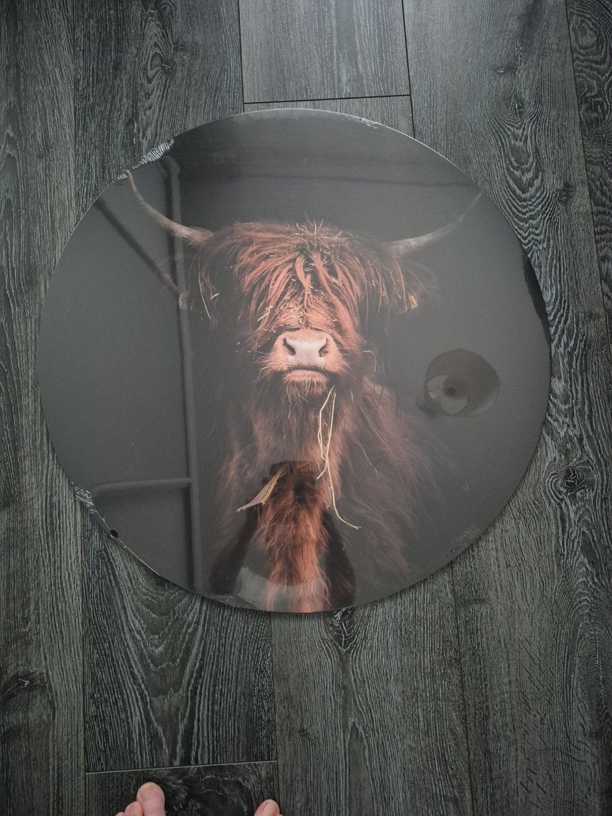 Wandcirkel Schotse Hooglander - Modern & Sfeervol, Huis en Inrichting, Woonaccessoires | Wanddecoraties, Ophalen, 70 cm, Hout