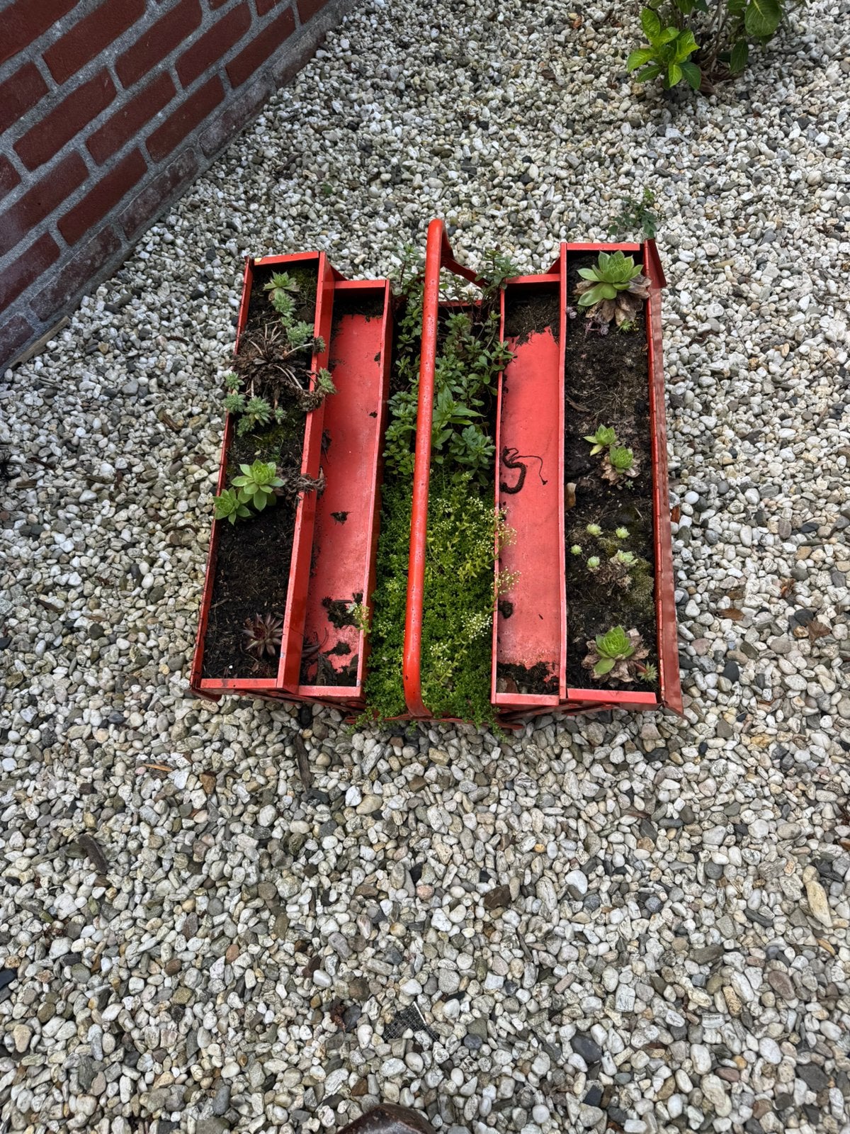 Unieke rode gereedschapskist bloembak met plantjes, Ophalen, Gebruikt, Minder dan 30 cm, Metaal