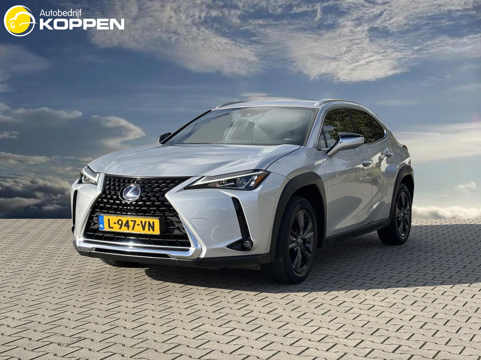 Lexus UX 250h AWD Executive Line | Adaptieve Cruise Control, Auto's, Automaat, 12 maanden, Verwarmde buitenspiegels, Gebruikt
