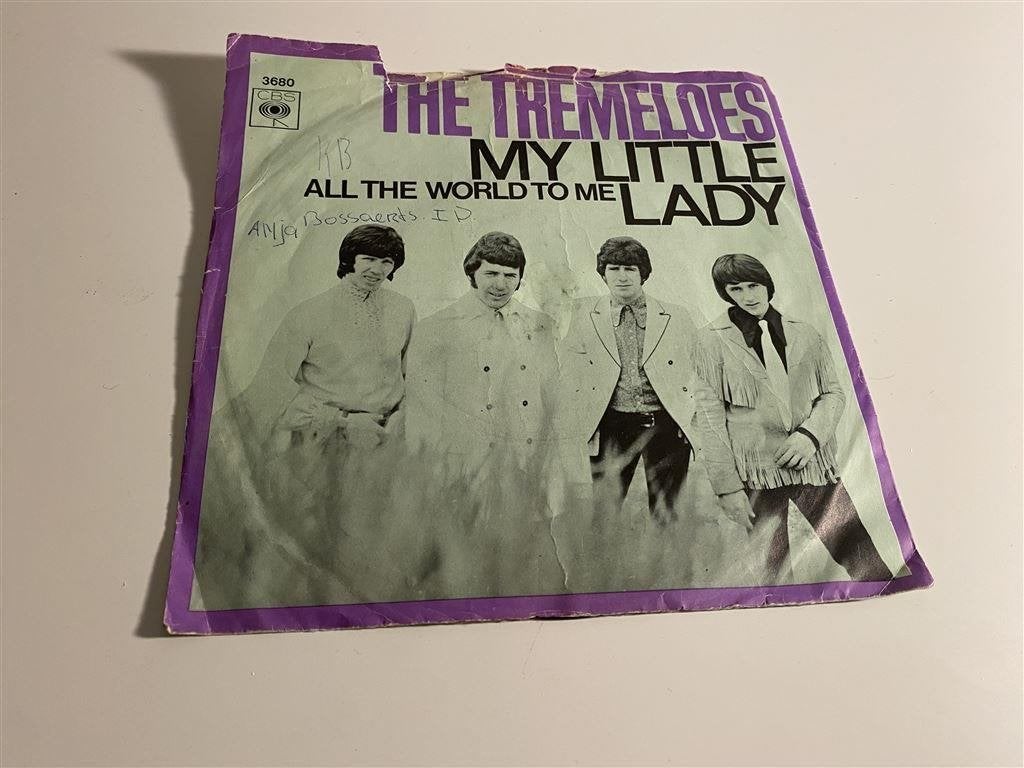 The Tremeloes my little lady [494], Verzenden, Zo goed als nieuw, Pop