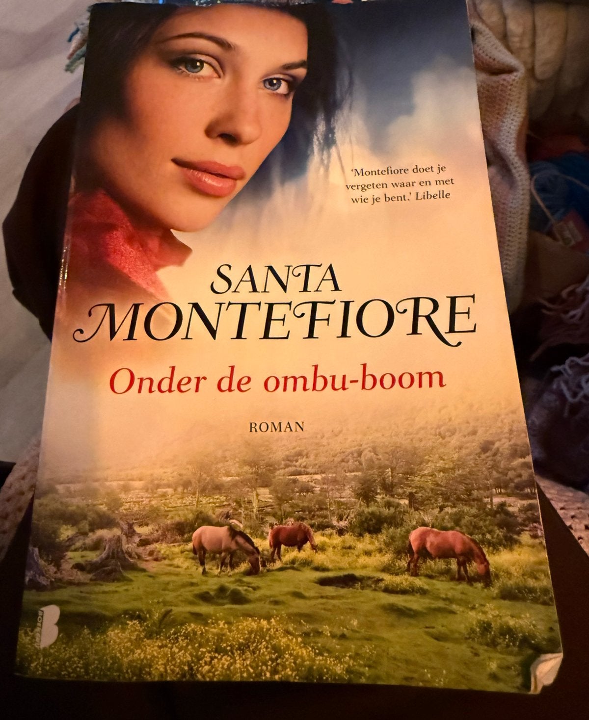 Santa Montefiore - Onder de Ombu-boom, Ophalen of Verzenden, Zo goed als nieuw, Santa Montefiore