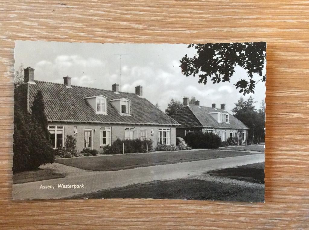 Assen, Westerpark, Ophalen of Verzenden, 1940 tot 1960, Ongelopen, Drenthe
