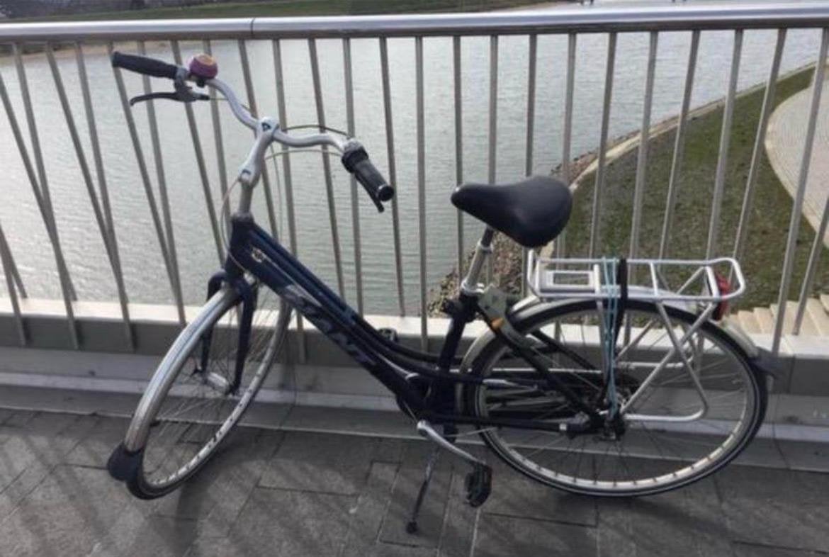 Giant stationfiets schoolfiets tieners fiets S 44cm, Ophalen, Gebruikt, Velgrem, Versnellingen