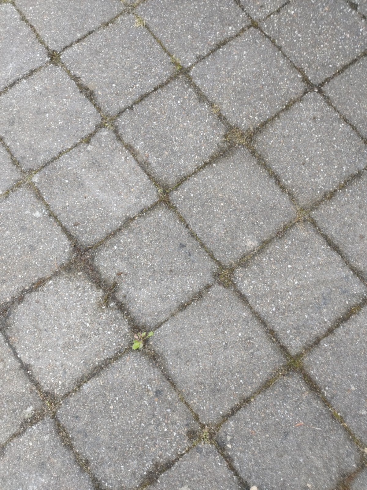 GRATIS vierkante tegels - 8-9 m2, Doe-het-zelf en Verbouw, Tegels, Ophalen, Overige materialen, Gebruikt, 20 tot 40 cm