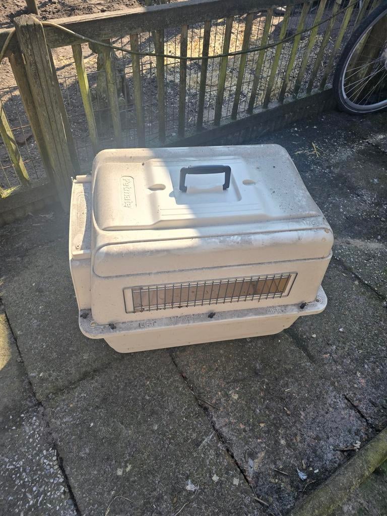 Honden bench, Dieren en Toebehoren, Ophalen of Verzenden, Zo goed als nieuw, Minder dan 65 cm