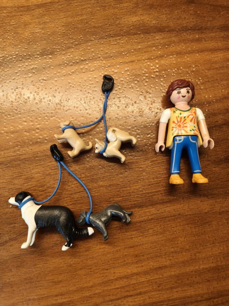 Playmobil Hondenoppas met 4 honden en accessoires, Ophalen of Verzenden, Gebruikt