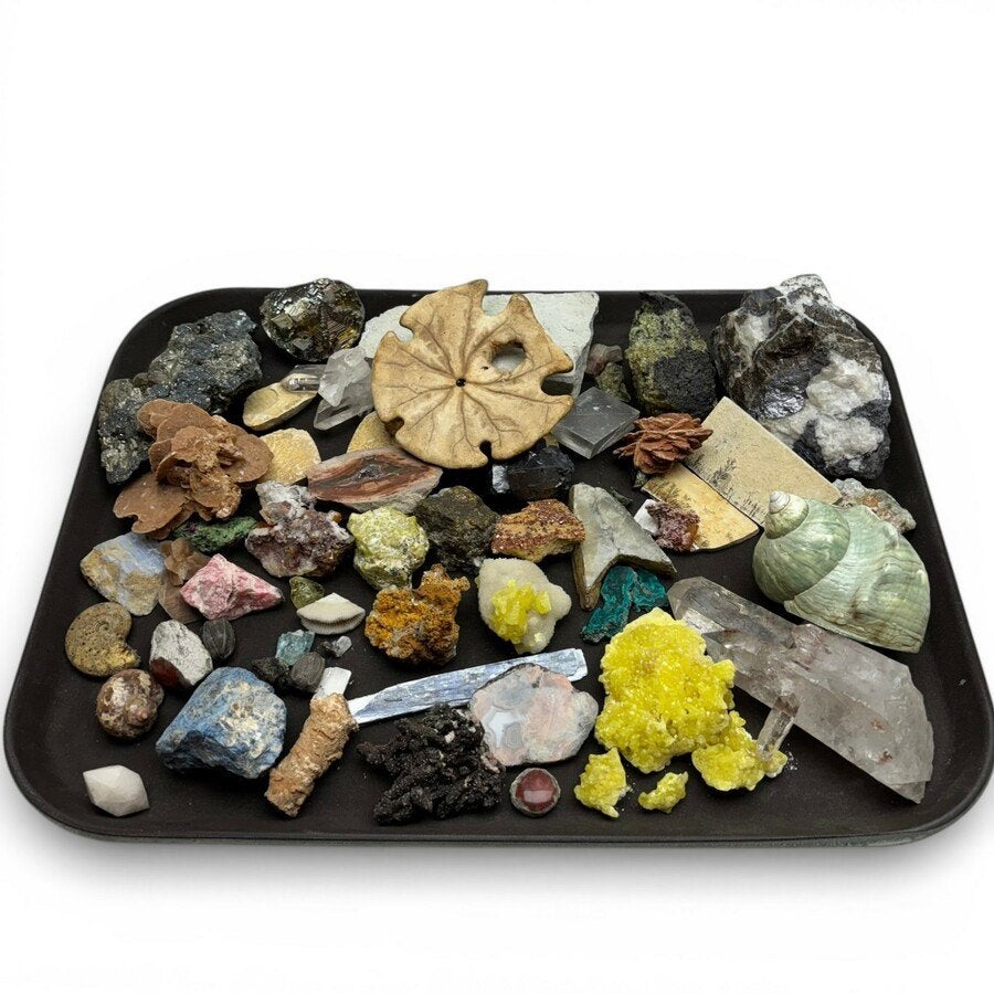 Lot mineralen & versteend organisch verzamelwaar o.a. pyriet, Verzamelen, Mineralen en Fossielen, Ophalen of Verzenden, Mineraal