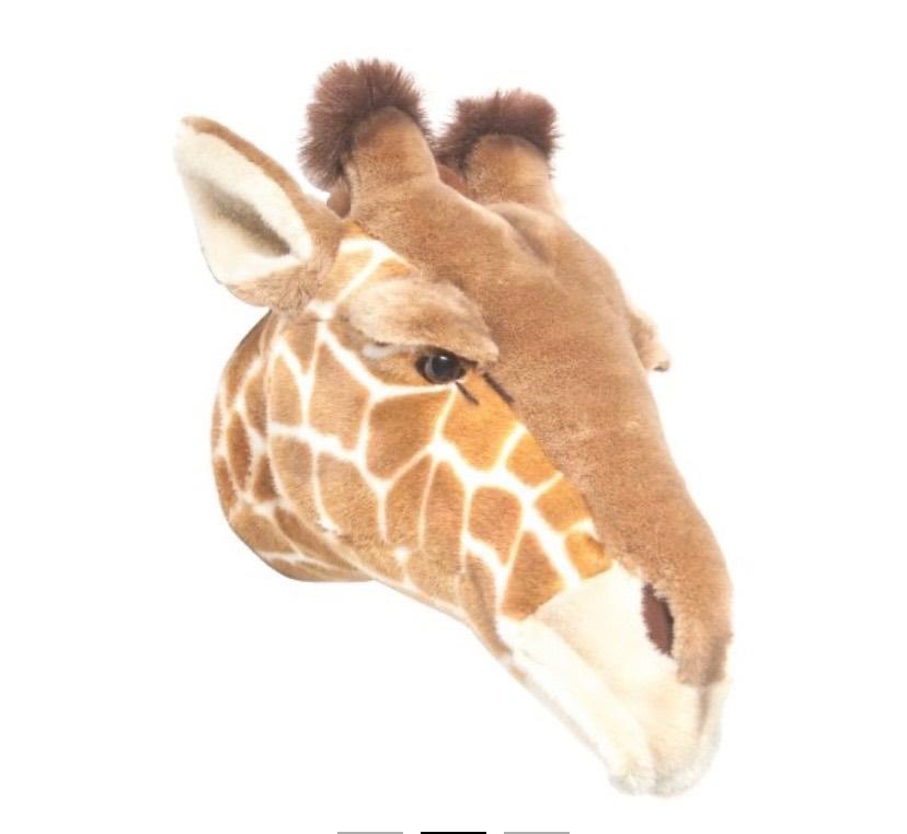 Dierenkoppen Wild & Soft, Ophalen of Verzenden, Zo goed als nieuw, Wanddecoratie