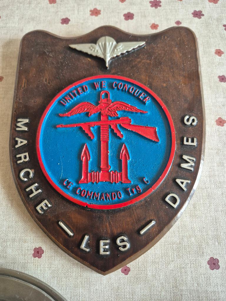 COMMANDO BADGES, Verzenden, Landmacht, Nederland, Embleem of Badge