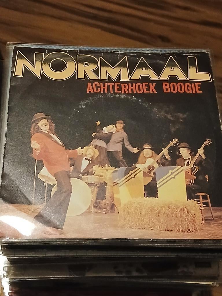 NORMAAL achterhoek boogie, Cd's en Dvd's, Ophalen of Verzenden, Zo goed als nieuw, Overige formaten, Levenslied of Smartlap