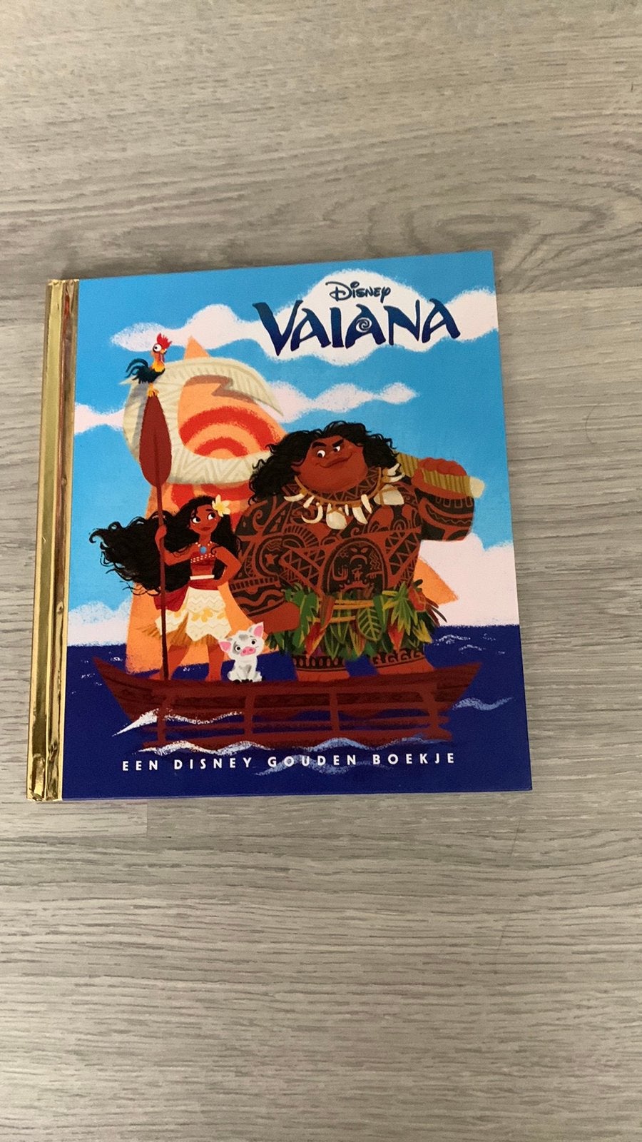 Disney gouden boekje Vaiana, Boeken, Ophalen of Verzenden, Zo goed als nieuw