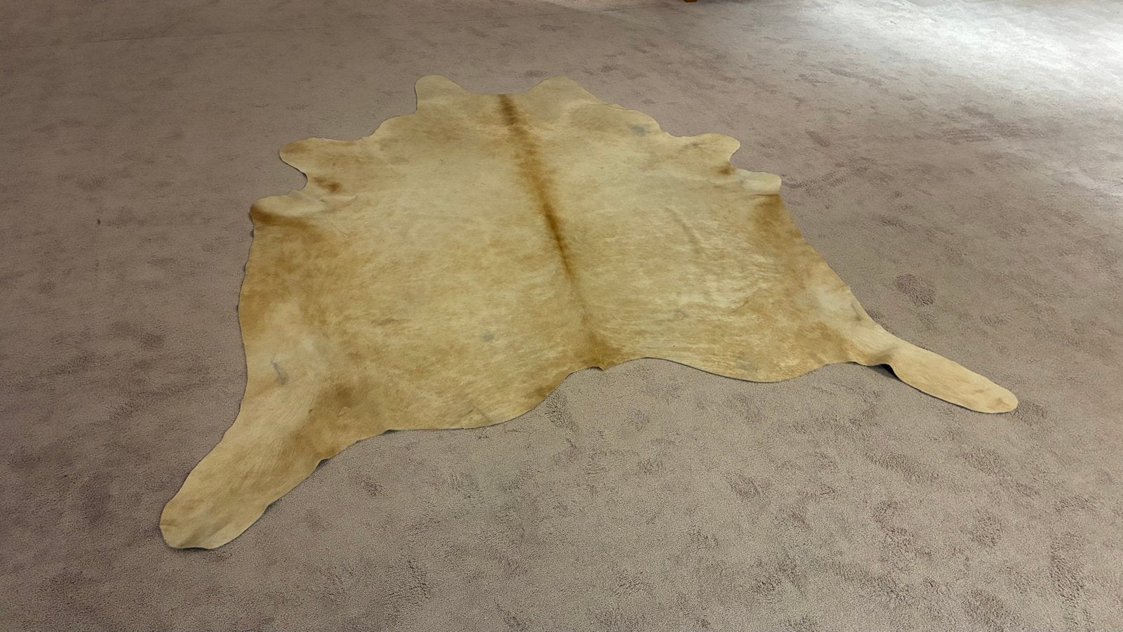 Prachtig beige koeienhuid vloerkleed, Beige, Ophalen of Verzenden, Landelijk, 200 cm of meer