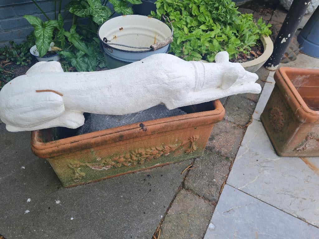 Betonnen liggende hond, Ophalen, Belle Vieille Brocante, Zo goed als nieuw, Jolandamonsieurs@gmail.com