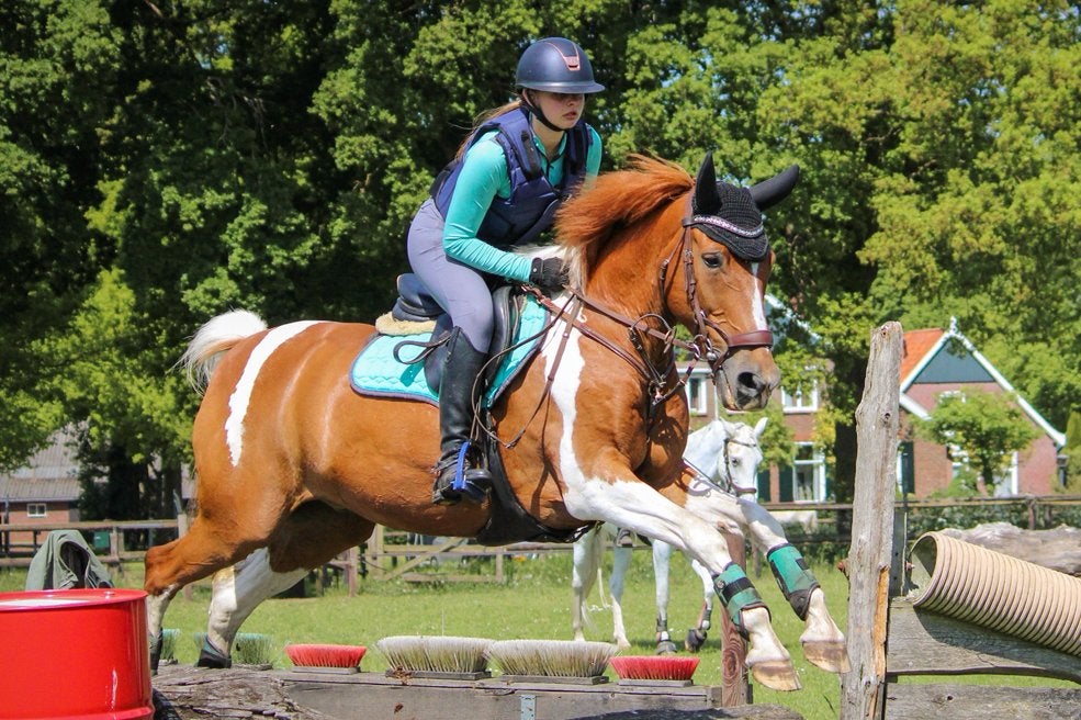 QHP Cross set mintgroen, Dieren en Toebehoren, Ophalen of Verzenden