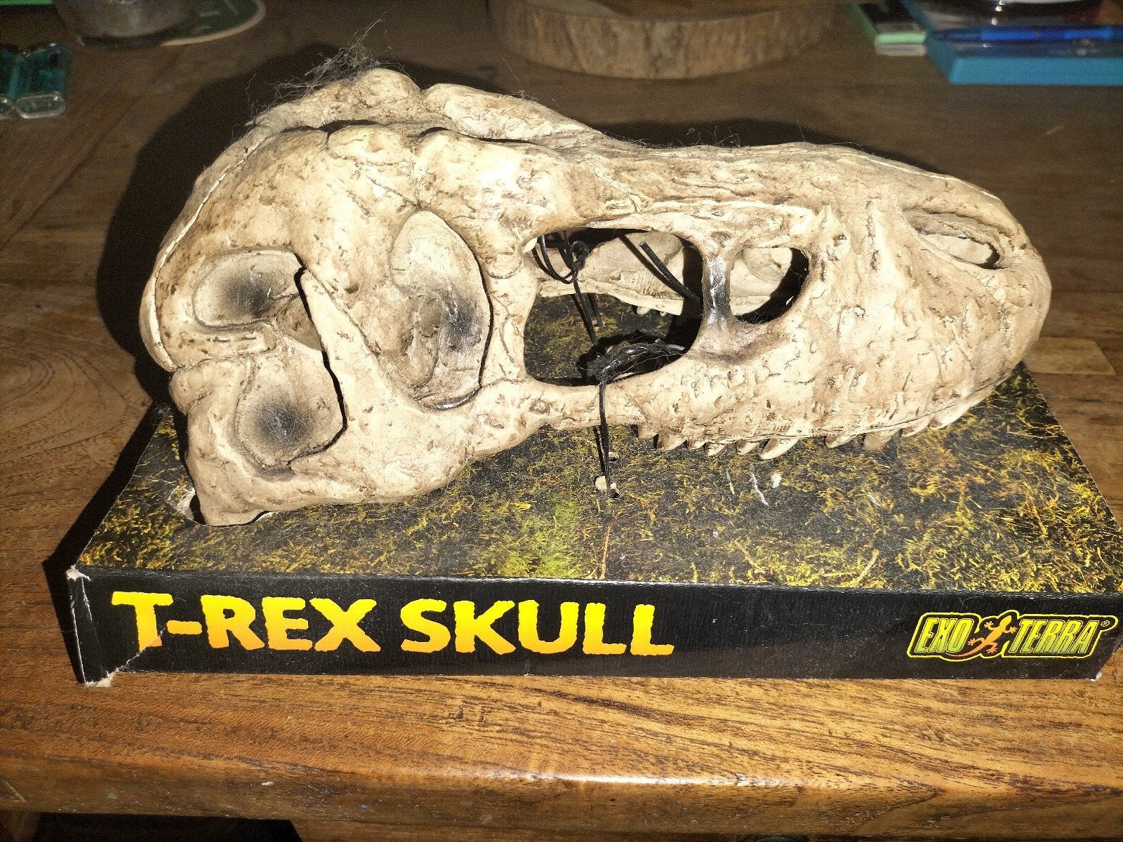 Terrarium accessoires T-rex Skull Exo Terra, Dieren en Toebehoren, Ophalen, Nieuw, Overige typen