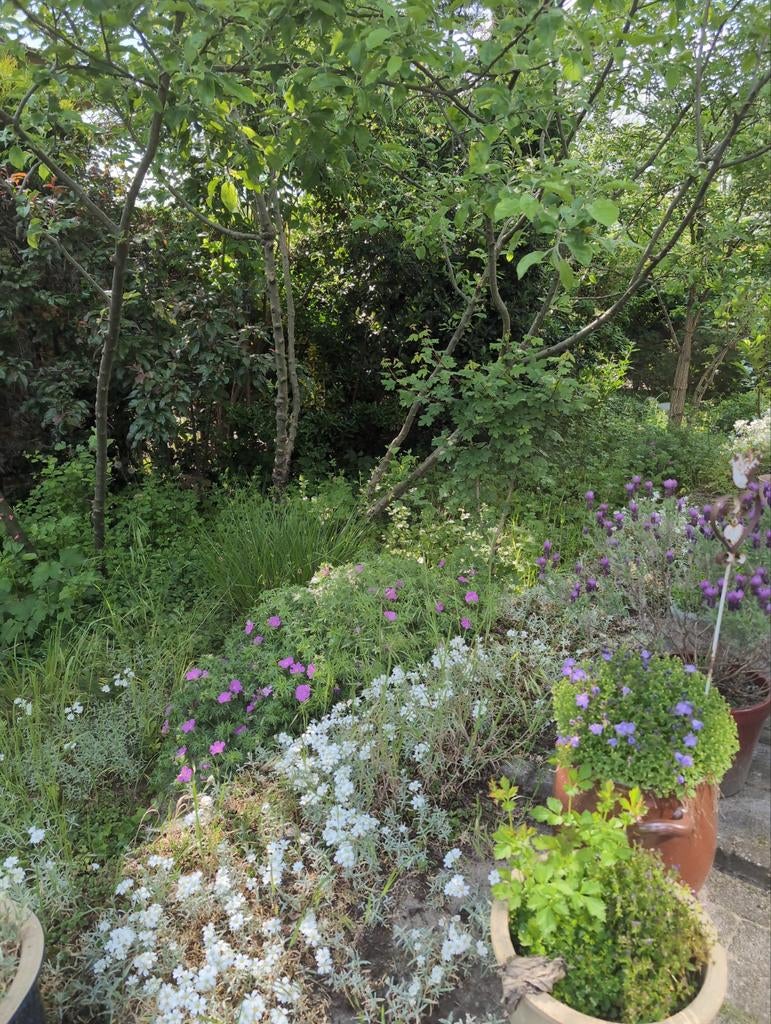 Tuin- en groente liefhebber gezocht