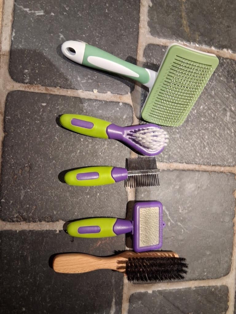 Konijnenkammetjes, Dieren en Toebehoren, Konijnen, Vrouwelijk, Groot