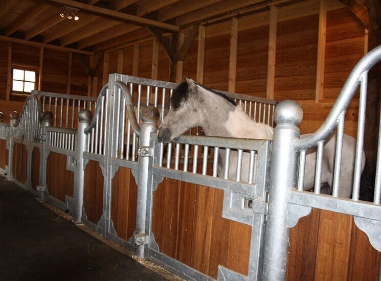 49. Mini paardenbox | shetlander box | minibox | ponystal, Dieren en Toebehoren, Stalling, 1 paard of pony