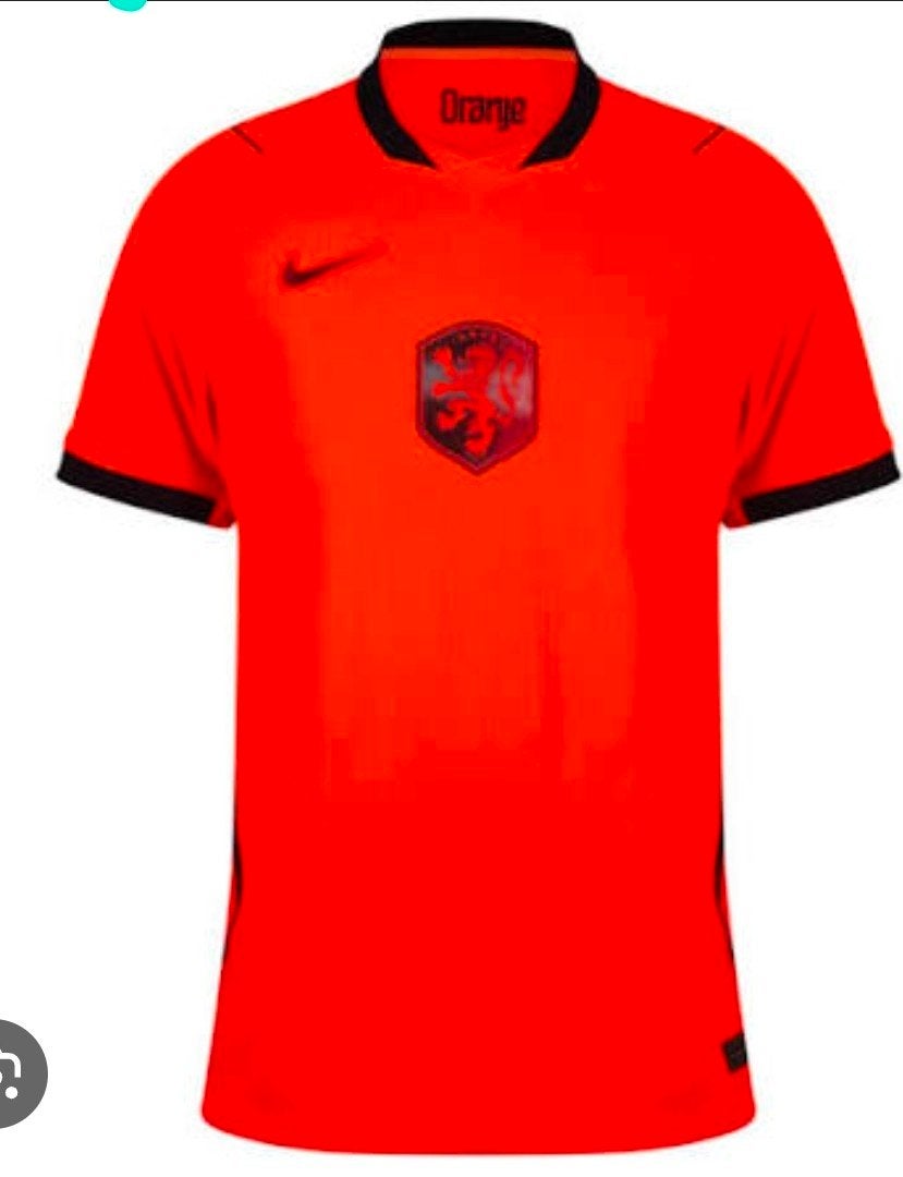 Nederlands Elftal - WK 2026, Maat L, Ophalen of Verzenden, Zo goed als nieuw, Shirt