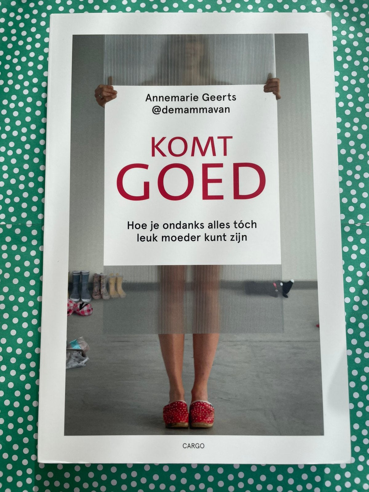 Komt goed, door Annemarie Geerts, Ophalen of Verzenden, Zo goed als nieuw, Overige