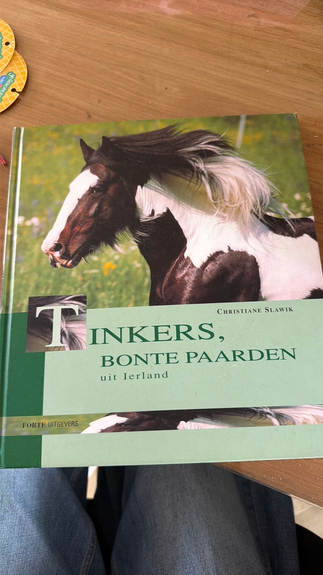 Tinkers, bonte paarden uit Ierland, Boeken, Ophalen of Verzenden, Zo goed als nieuw, Paarden of Pony's