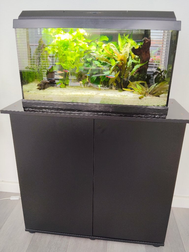 aquarium met kast en toebehoren, Ophalen, Gebruikt, Inclusief vissen, Gevuld zoetwateraquarium