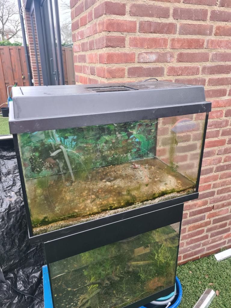 Aquarium 60x30, Ophalen of Verzenden, Gebruikt, 160 cm of meer, 160 cm of meer