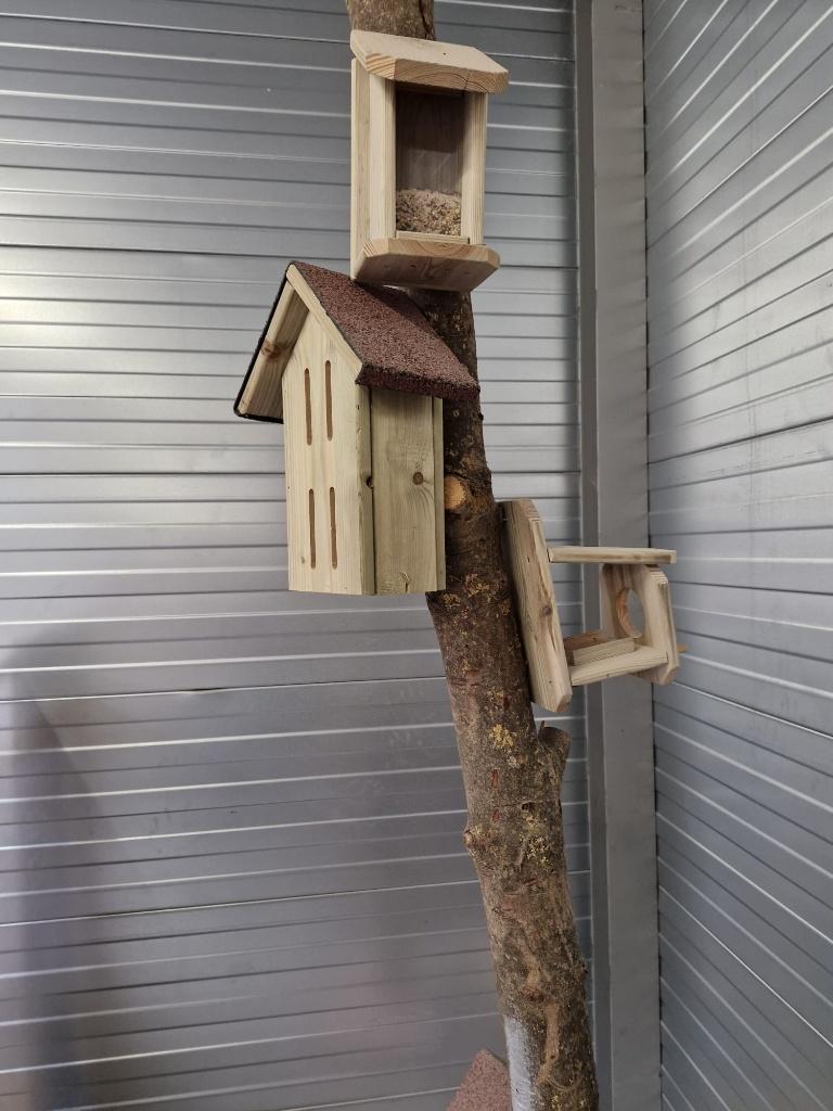 boom met vogel - insecten voederhuisjes, Ophalen, Nieuw