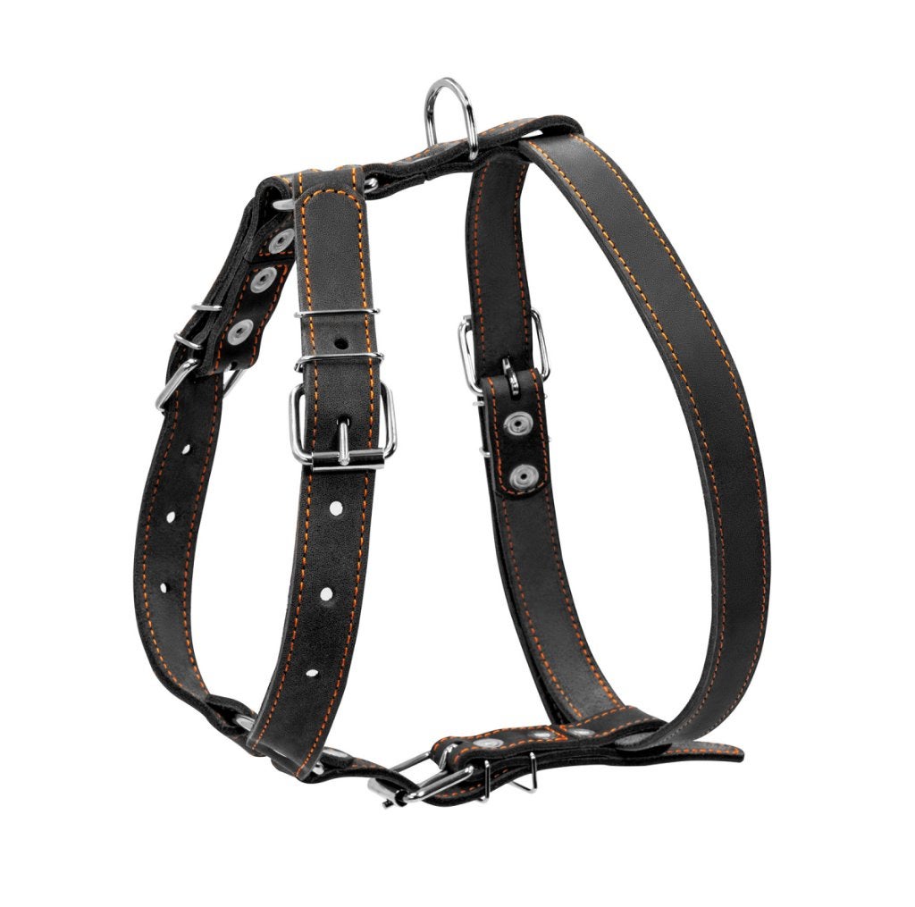 WAUDOG Classic Harnas Leder Zwart Borst 69-81 cm KOOPJE!!!, WAUDOG, Ophalen of Verzenden, Nieuw, Hondentuig