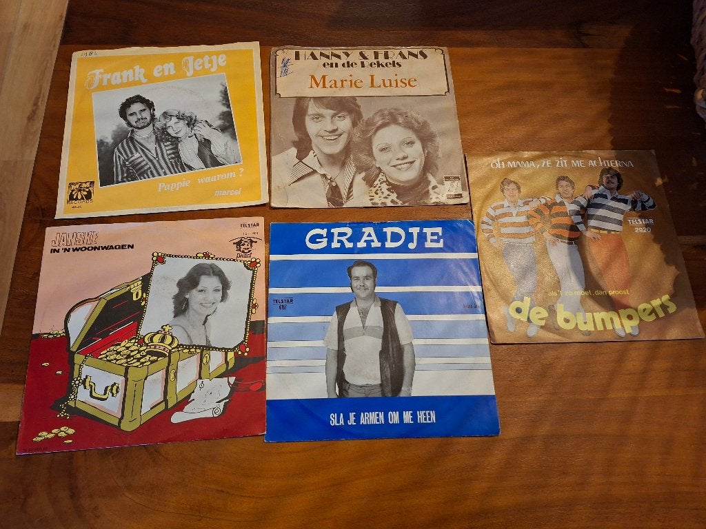 singles nederlands (piraat, Ophalen of Verzenden, Gebruikt, 12 inch, Levenslied of Smartlap