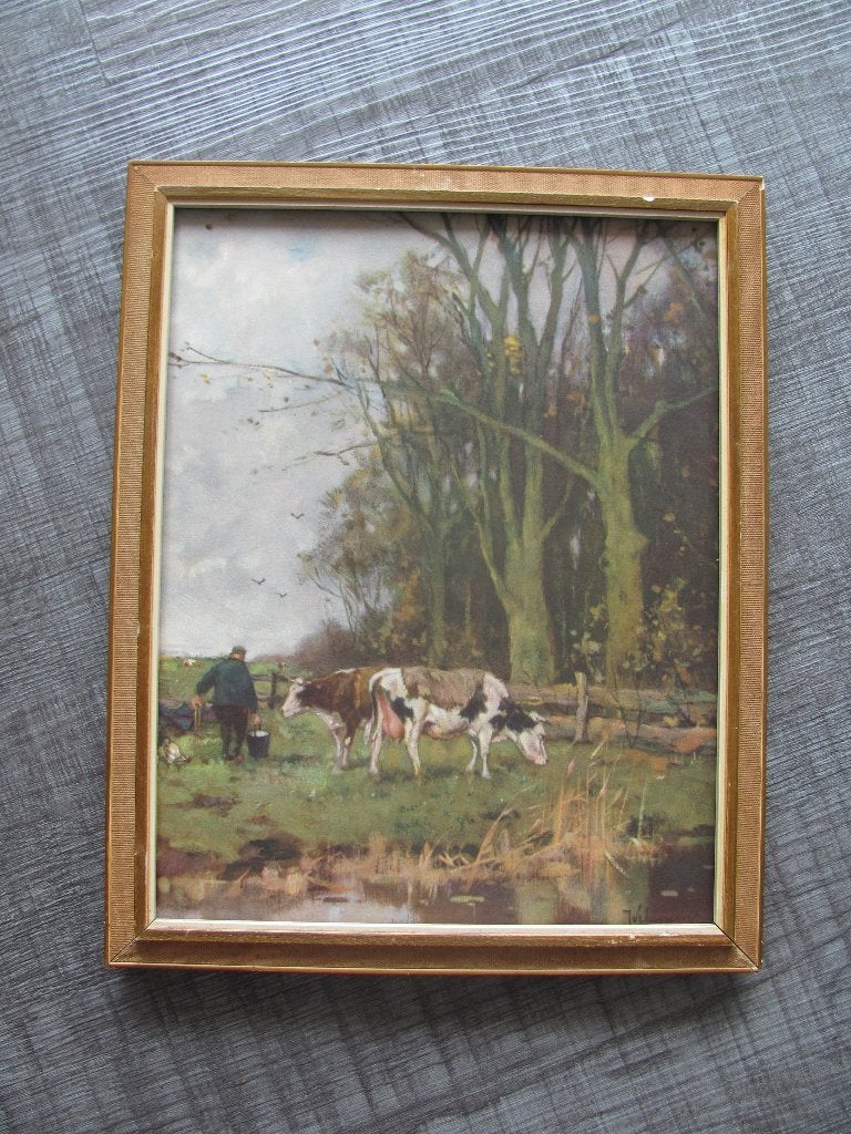 Johan Scherrewitz  (1968-1951) koeien in wei (reproductie), Ophalen, Dieren, Klassiek, Print