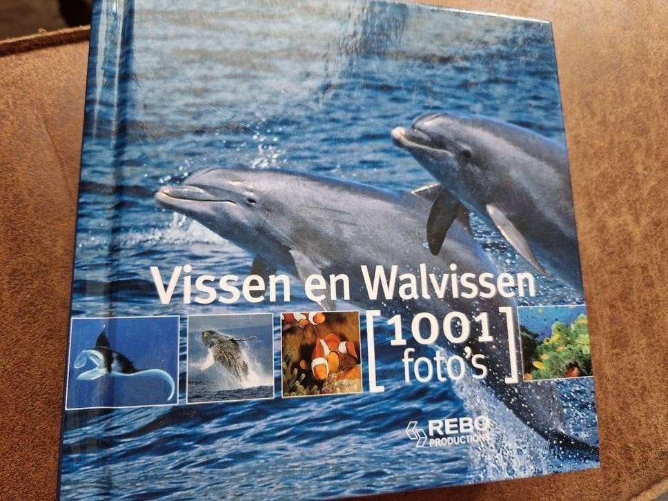 Vissen en Walvissen: 1001 foto's - Natuurboek, Ophalen of Verzenden, Nieuw, Natuur algemeen, Onbekend