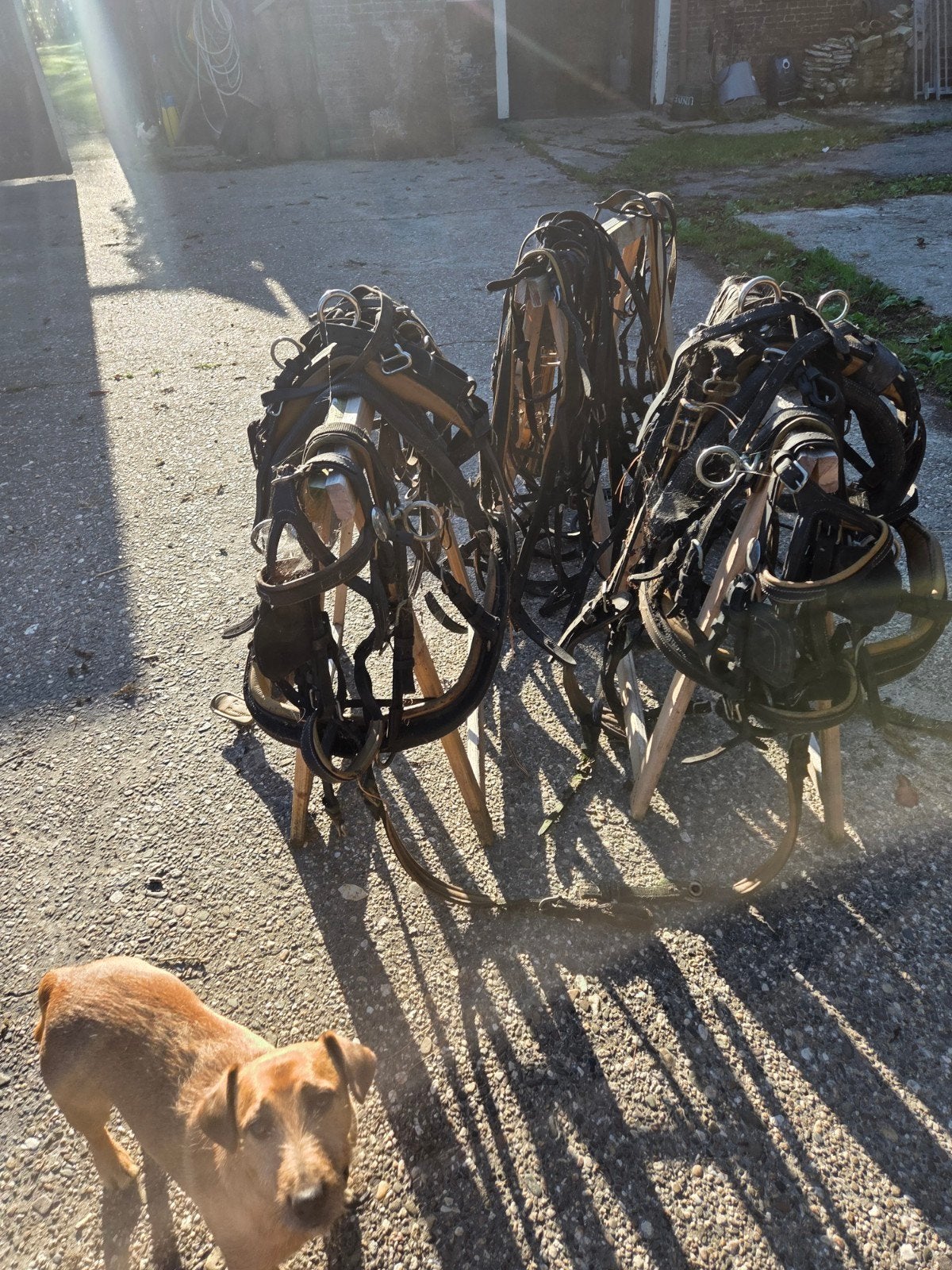 2span pony tuig nylon versterkt, Dieren en Toebehoren, Ophalen, Bourren, Gebruikt, Hofstra_j@online.nl