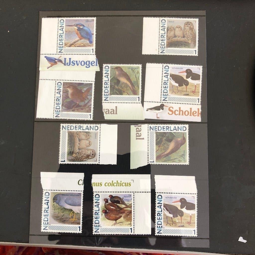 persoonlijke postzegels vogels, Verzenden, Na 1940, Postfris