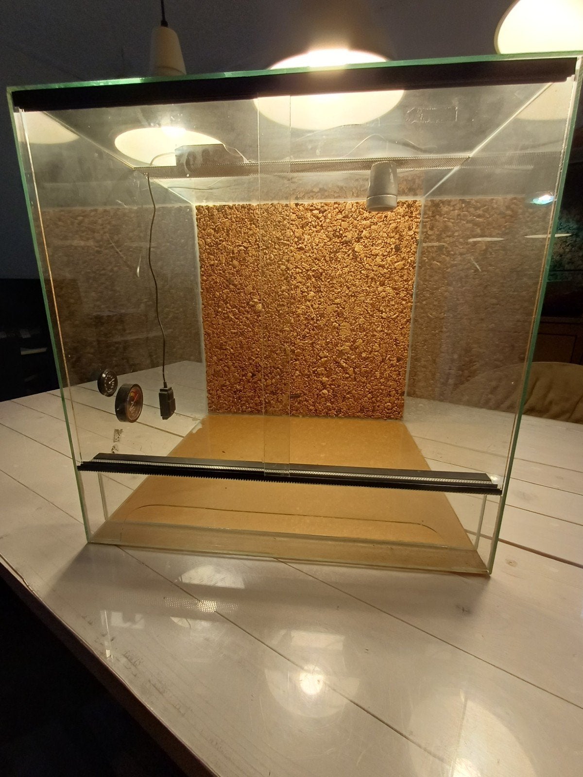 Te koop: terrarium met achterwand 50x50x50 cm., Dieren en Toebehoren, Ophalen