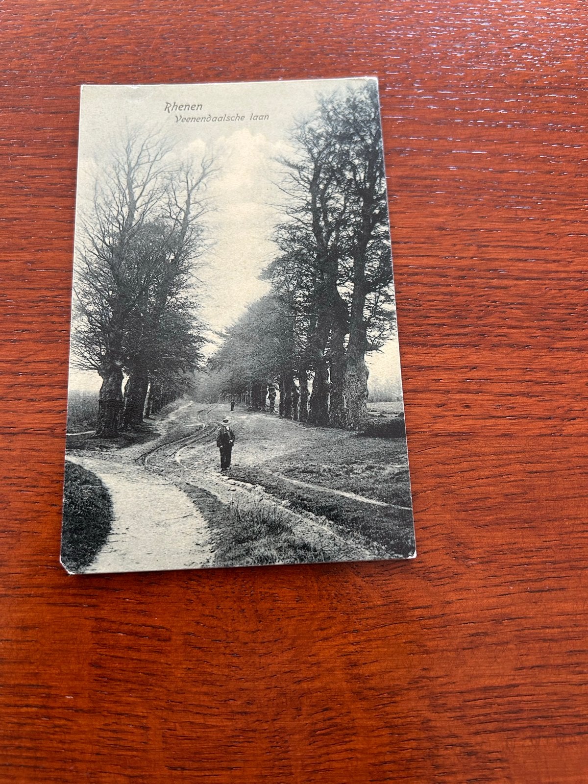 Oude Ansichtkaart Rhenen Veenendaalsche laan, Verzamelen, Ophalen of Verzenden, Voor 1920, Gelopen, Gelderland